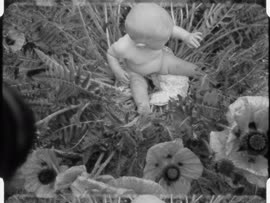 Artistic film of a family and baby at rural beachfront property
